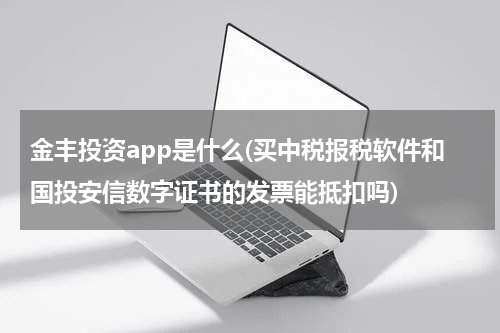 金丰投资app是什么(买中税报税软件和国投安信数字证书的发票能抵扣吗)