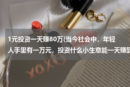 1元投资一天赚80万(当今社会中，年轻人手里有一万元，投资什么小生意能一天赚到500元？)