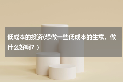 低成本的投资(想做一些低成本的生意，做什么好啊？)
