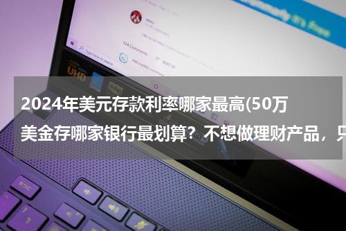 2024年美元存款利率哪家最高(50万美金存哪家银行最划算？不想做理财产品，只谈定存！)