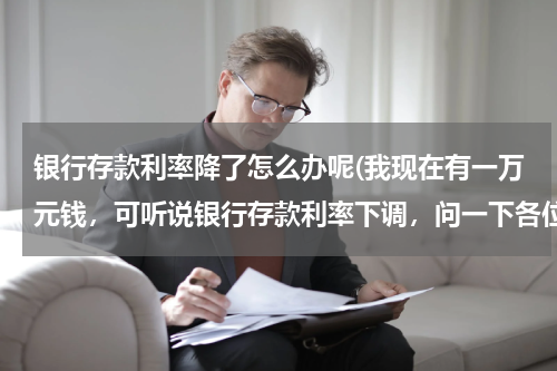 银行存款利率降了怎么办呢(我现在有一万元钱，可听说银行存款利率下调，问一下各位理财达人我该如何处理这些钱才能获得最多利益？)