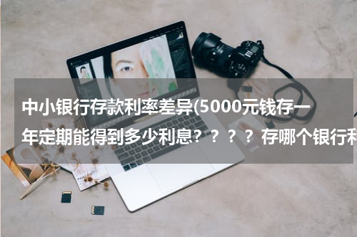 中小银行存款利率差异(5000元钱存一年定期能得到多少利息？？？？存哪个银行利息高？)