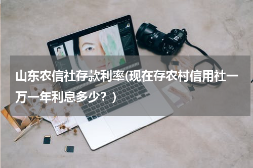 山东农信社存款利率(现在存农村信用社一万一年利息多少？)